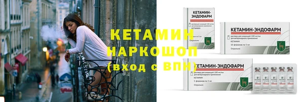 шишки Богородск