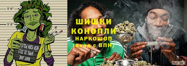 шишки Богородск