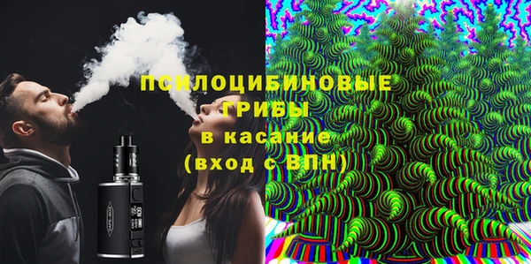 сатива Беломорск