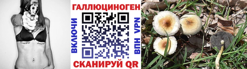 Галлюциногенные грибы прущие грибы  OMG tor  Вельск 